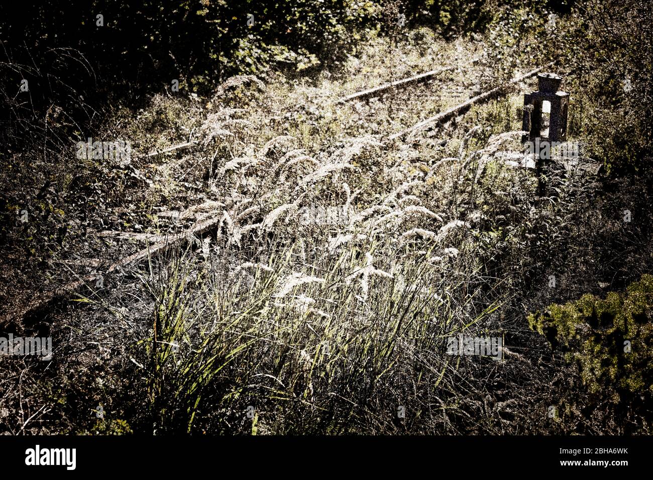 Germania, Turingia, Georgenthal, track, lanterna di commutazione, impianti, retroilluminazione, processato digitalmente, RailArt Foto Stock