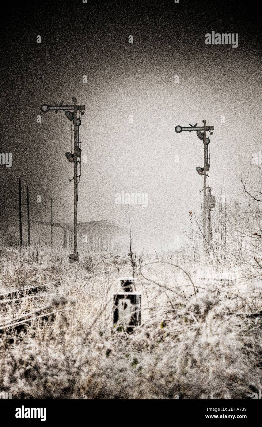 Segnali, tracce, interruttore, indicatore di direzione, scrub, selvaggio, nebbia, elaborato digitalmente, RailArt Foto Stock