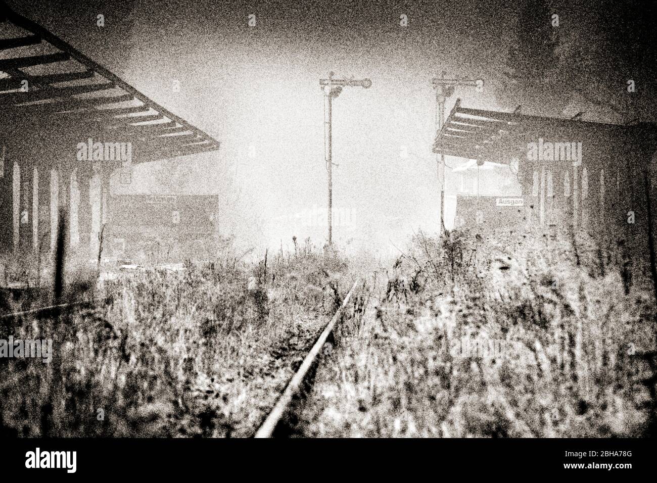 Ferrovie, piattaforme, segnali, scrub, selvaggio, nebbia, hoarfrost, elaborato digitalmente, RailArt Foto Stock
