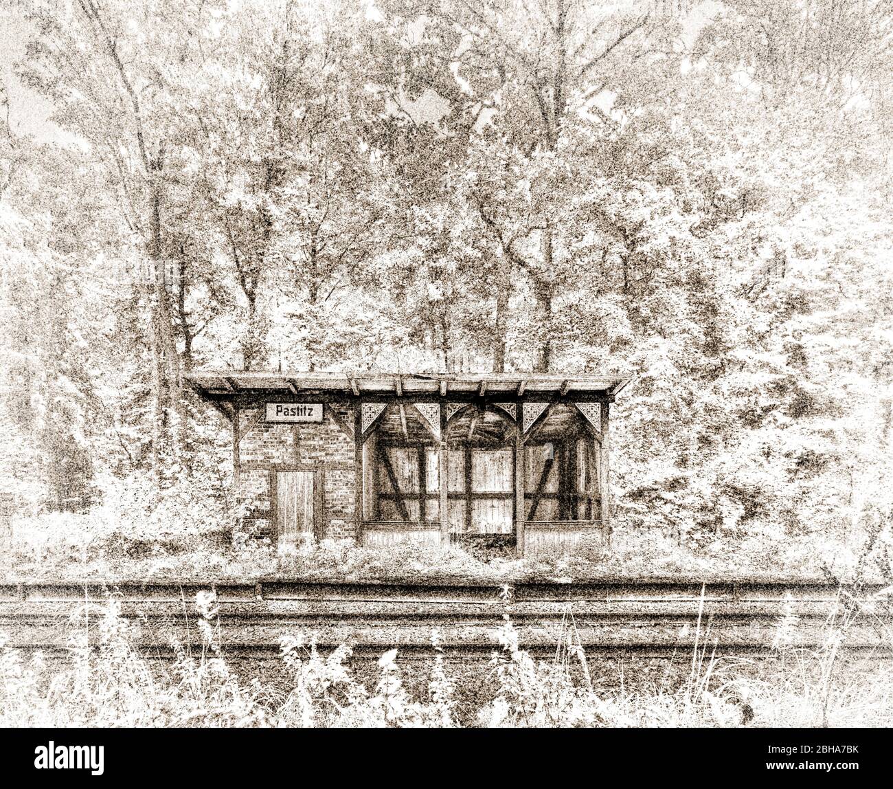 Cottage, eseguire giù, traccia, foresta, digitale editato, High Key, RailArt Foto Stock