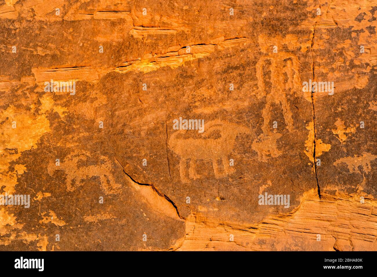 Primo piano di petroglifi, Utah, USA Foto Stock