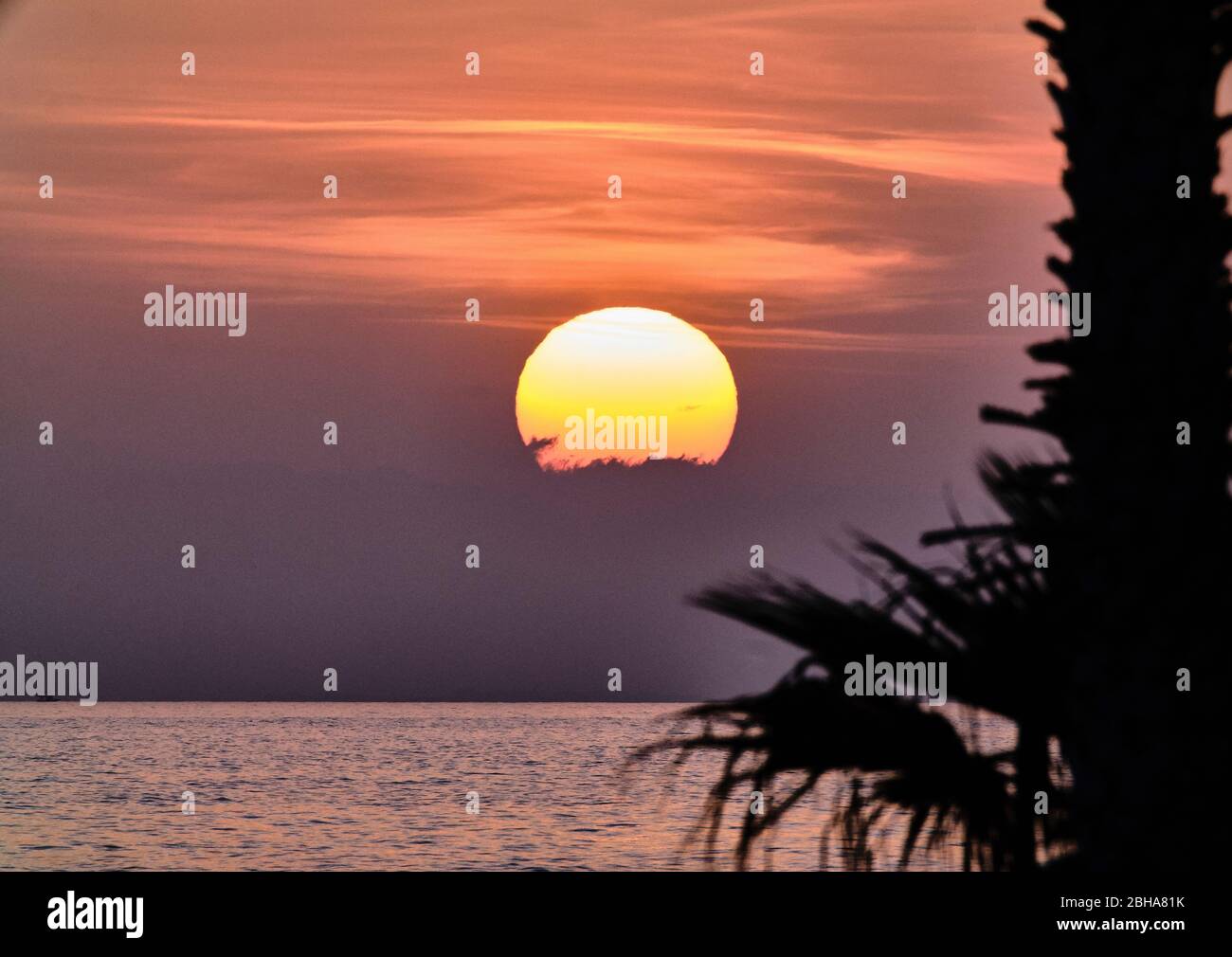 Il sole parzialmente coperto durante il tramonto sul mare. Sulla destra è possibile vedere un palmo nero sfocato. Foto Stock