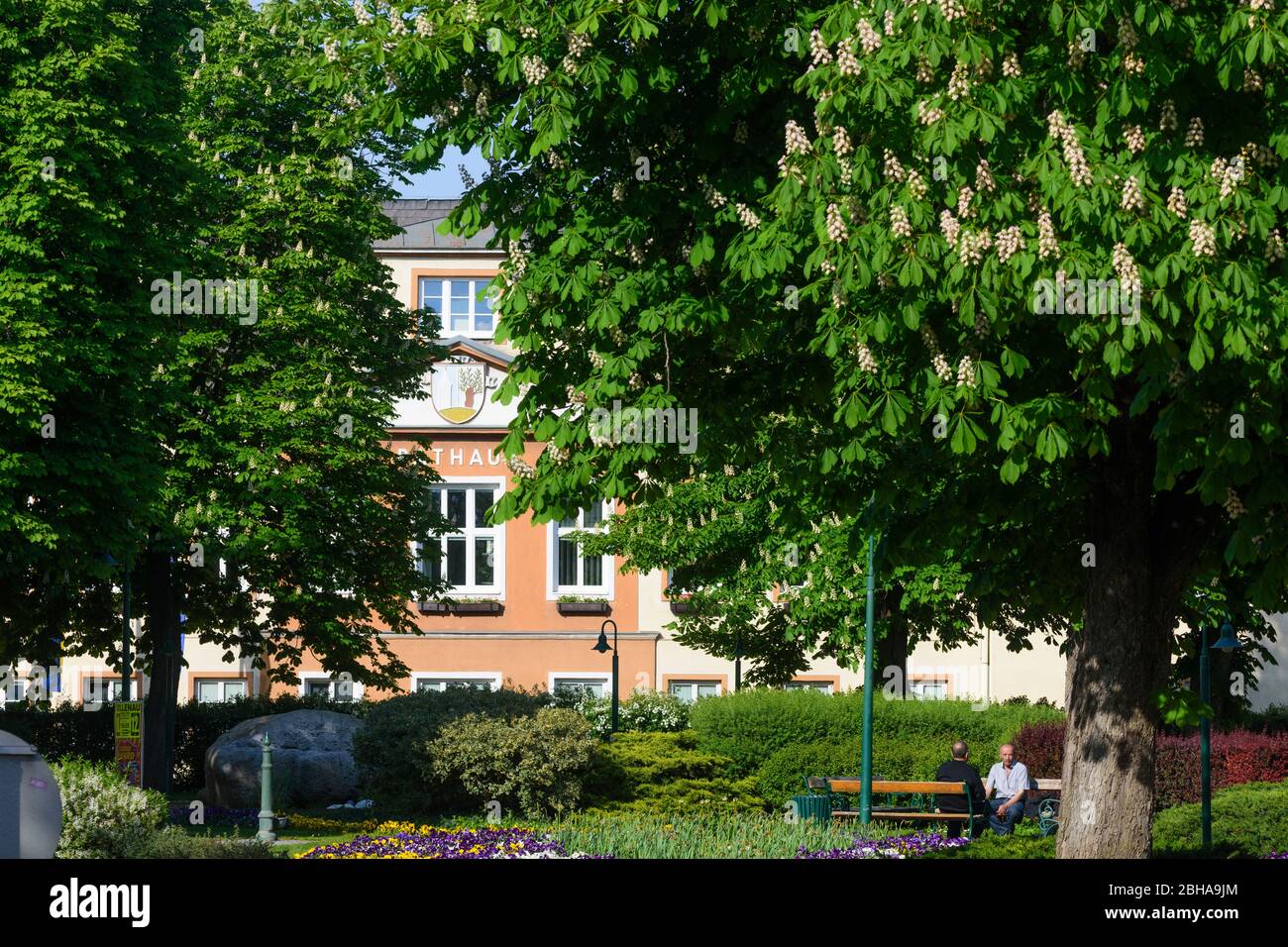 Sollenau: Municipio di Wienerwald, boschi di Vienna, bassa Austria, bassa Austria, Austria Foto Stock