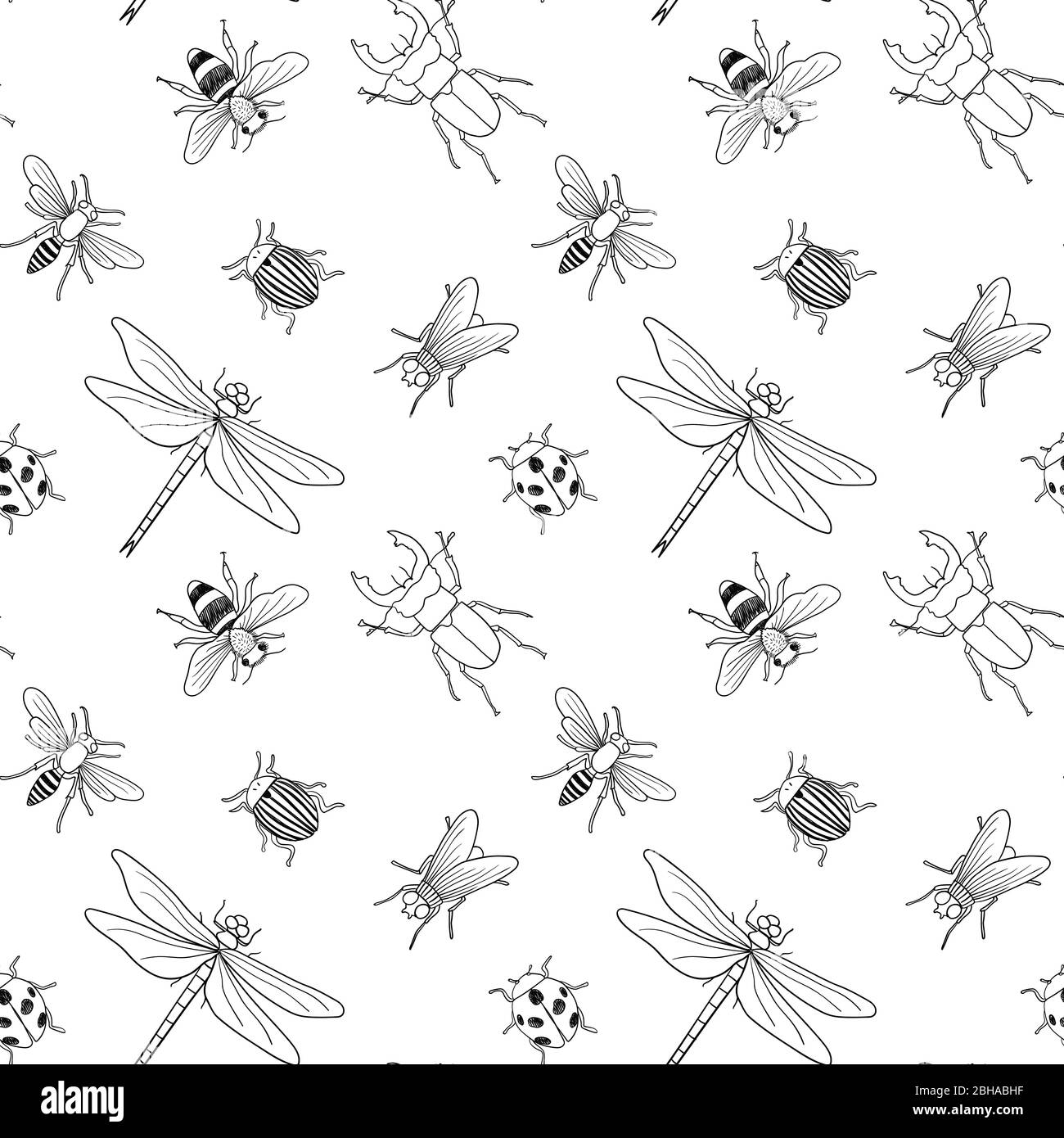 Vettore senza giunture nero e bianco modello di diversi mano tirata doodle isolati insetti Illustrazione Vettoriale