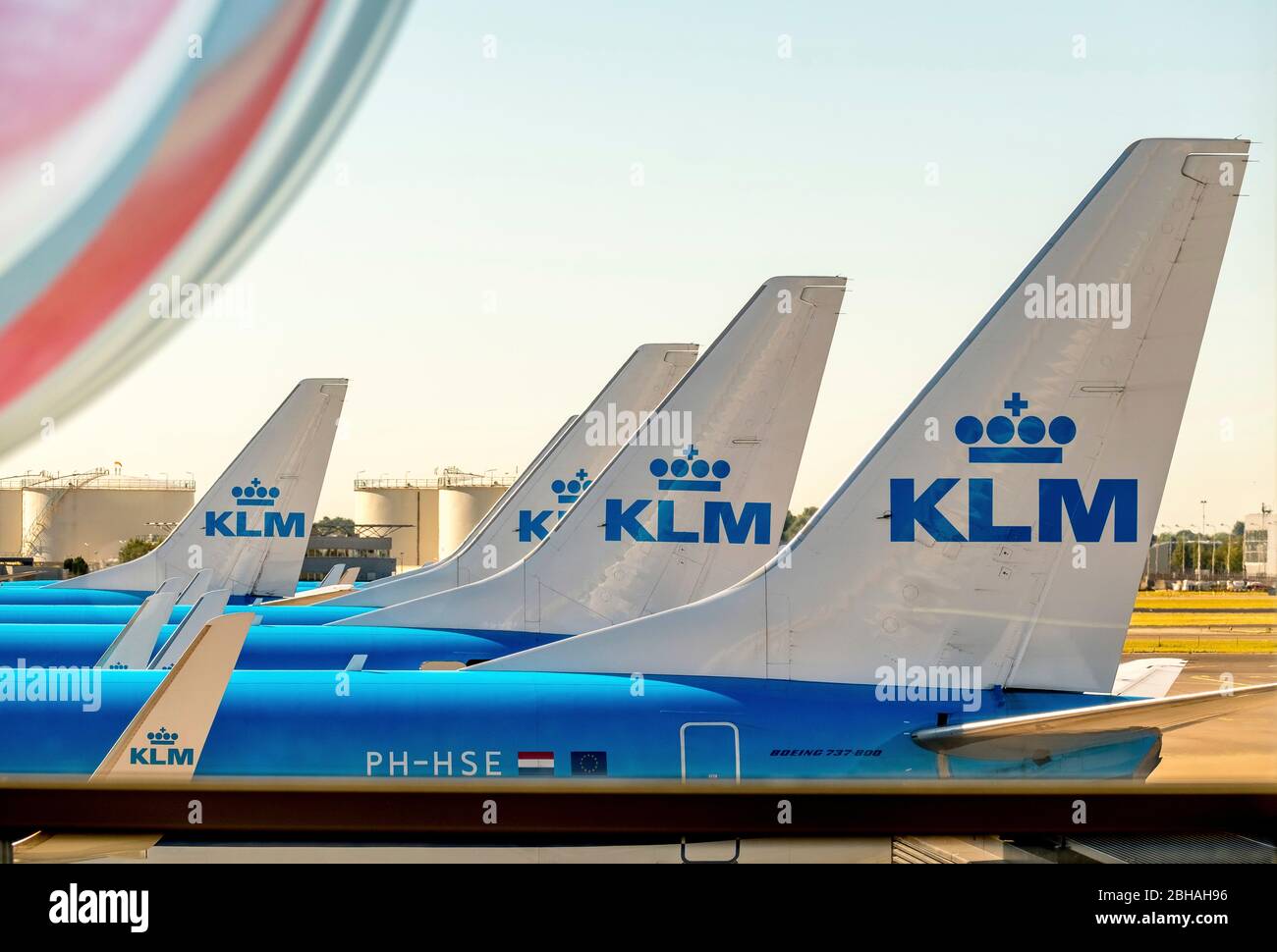 Stabilizzatori verticali della compagnia aerea KLM all'aeroporto Schiphol di Amsterdam, Noord-Holland, Paesi Bassi, Europa Foto Stock
