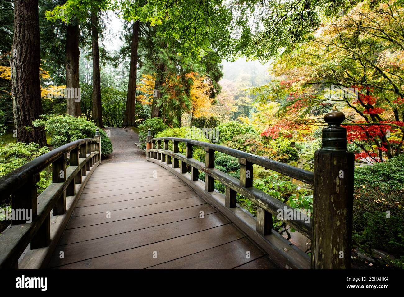 Autunno foglie su alberi e passerella, giardino giapponese, Portland, Oregon, Stati Uniti Foto Stock