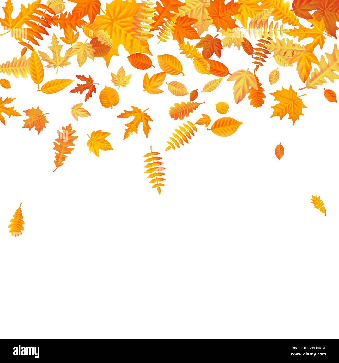 Arancione e giallo caduta foglie modello autunno. EPS 10 Illustrazione Vettoriale