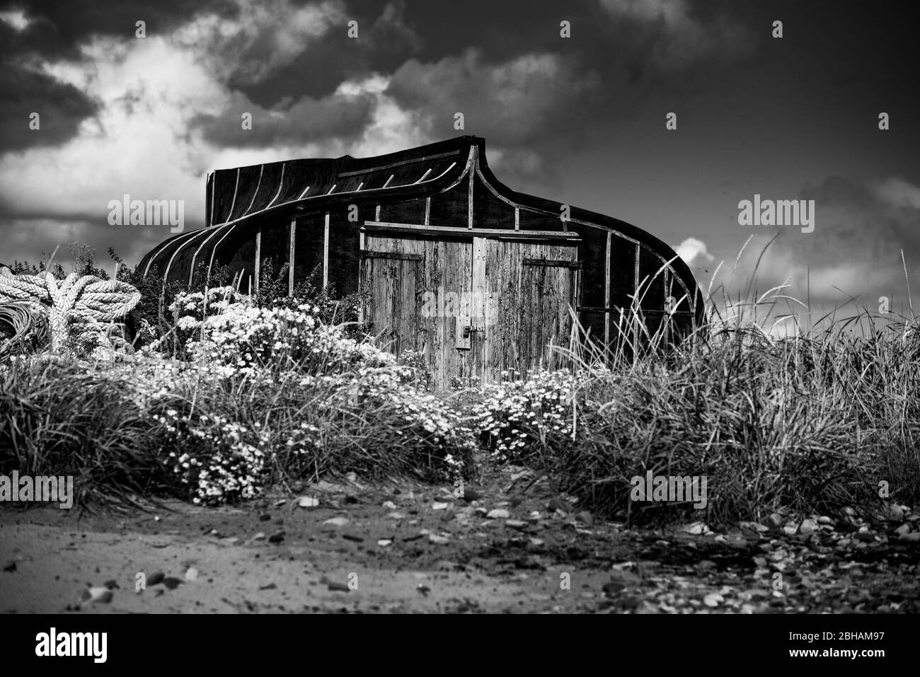 Una delle barche di aringa si trova sulla Santa Isola di Lindisfarne, Northumberland, Inghilterra, Regno Unito Foto Stock