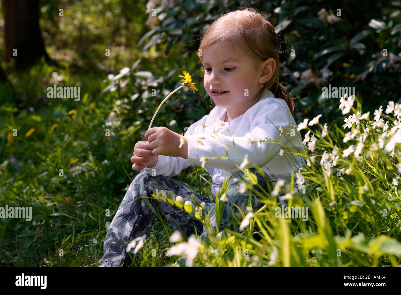 la bambina è seduta su un prato in primavera Foto Stock