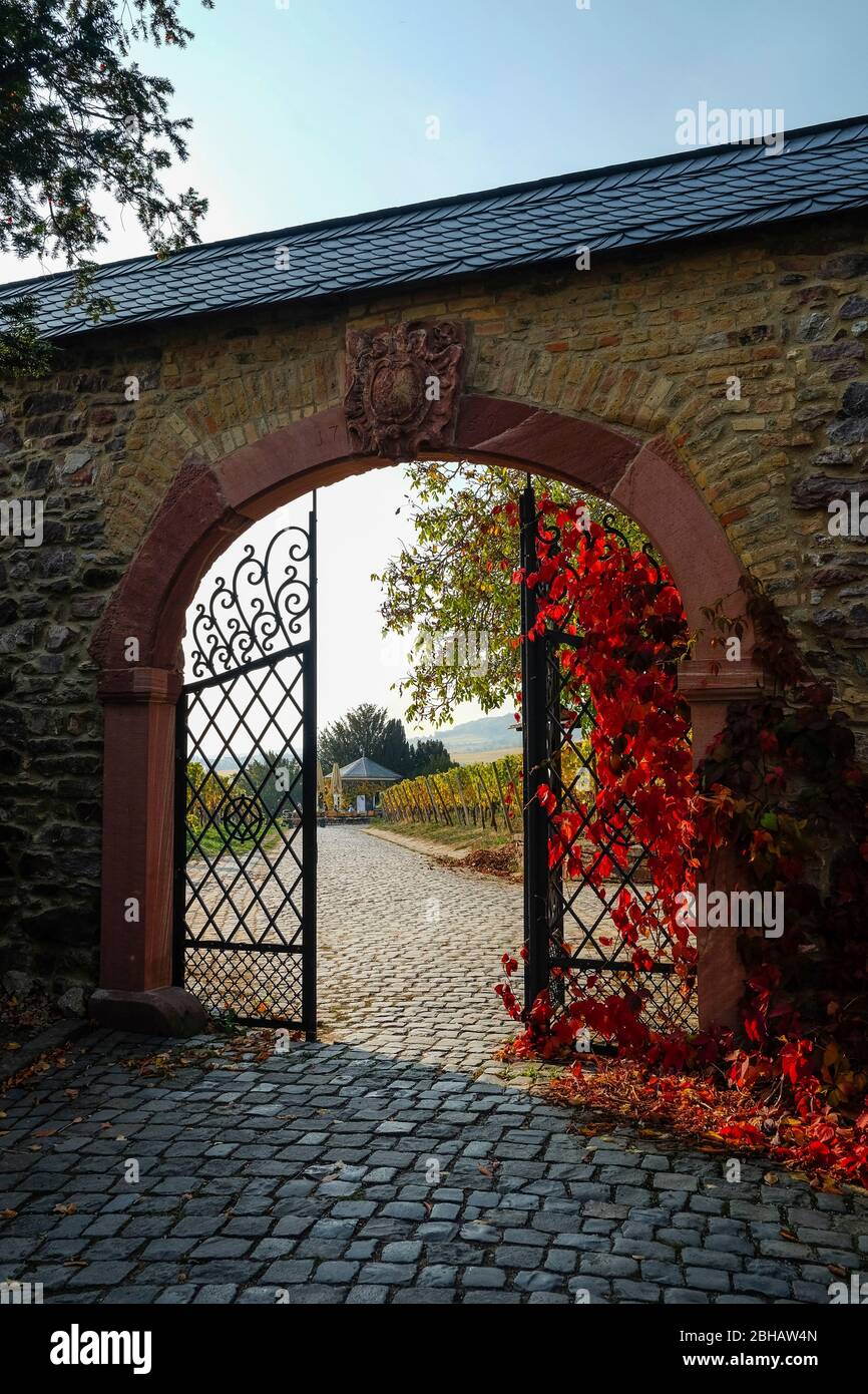 Rheingau: Porta d'accesso al dominio di Steinberg nella regione del Rheingau Foto Stock