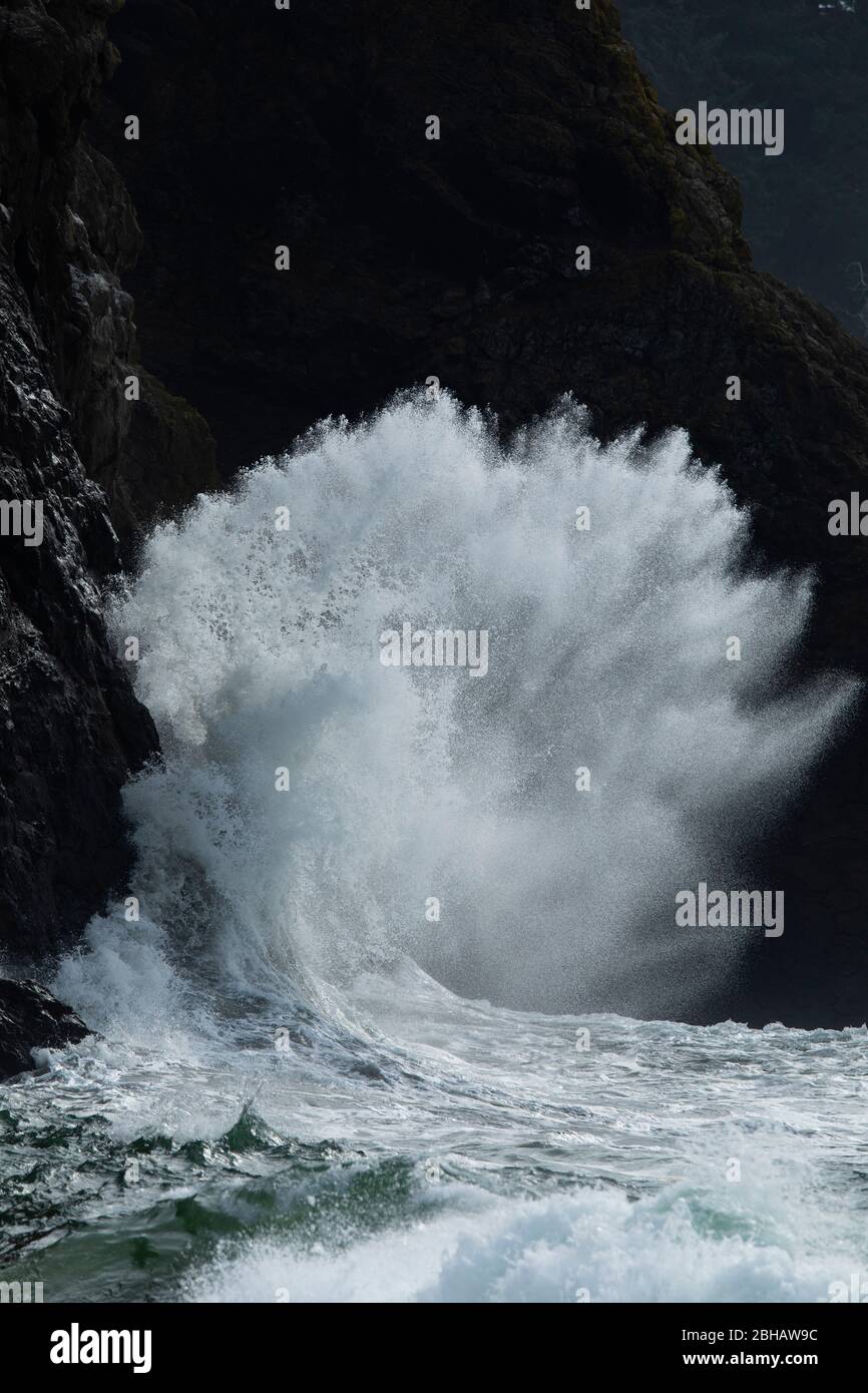 Wave che colpisce la scogliera, Cape Disappointment state Park, Washington, USA Foto Stock