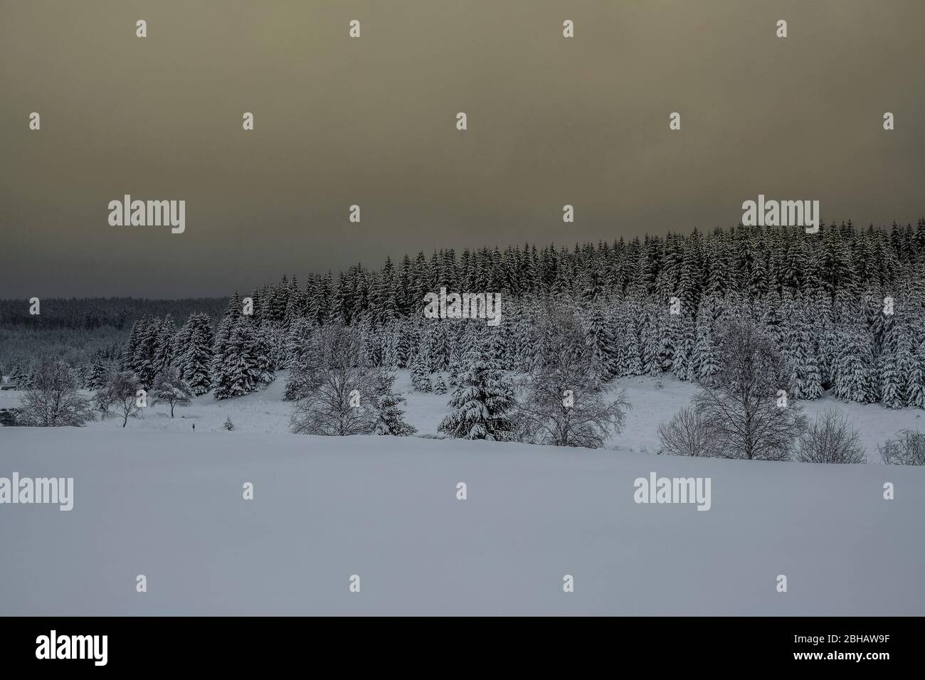 Paesaggio invernale con cielo spettacolare Foto Stock