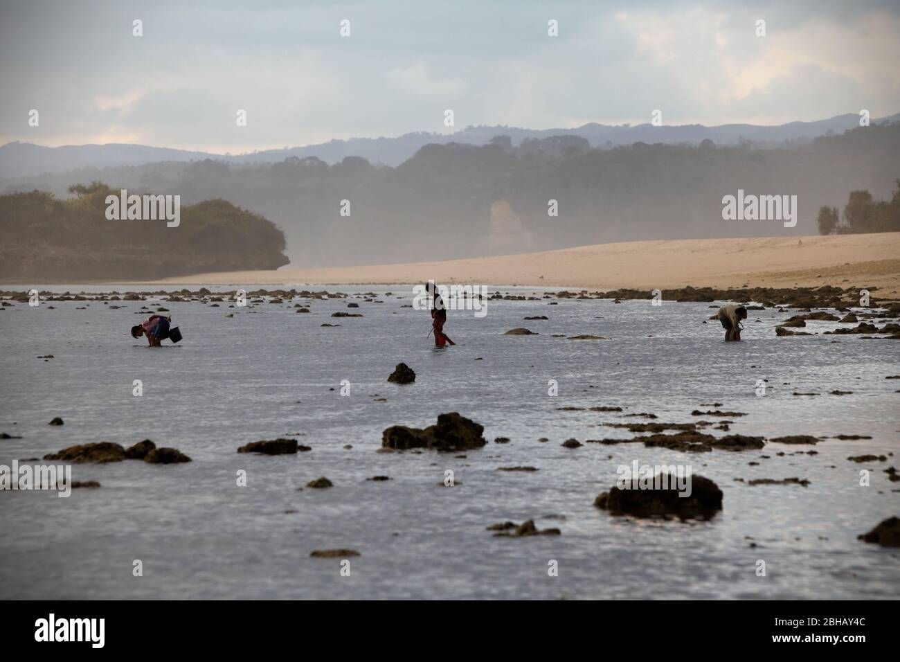 Giovani donne che raccolgono prodotti marini durante la bassa marea, una fonte alternativa di cibo stagionale a Sumba Island, East Nusa Tenggara, Indonesia. Foto Stock