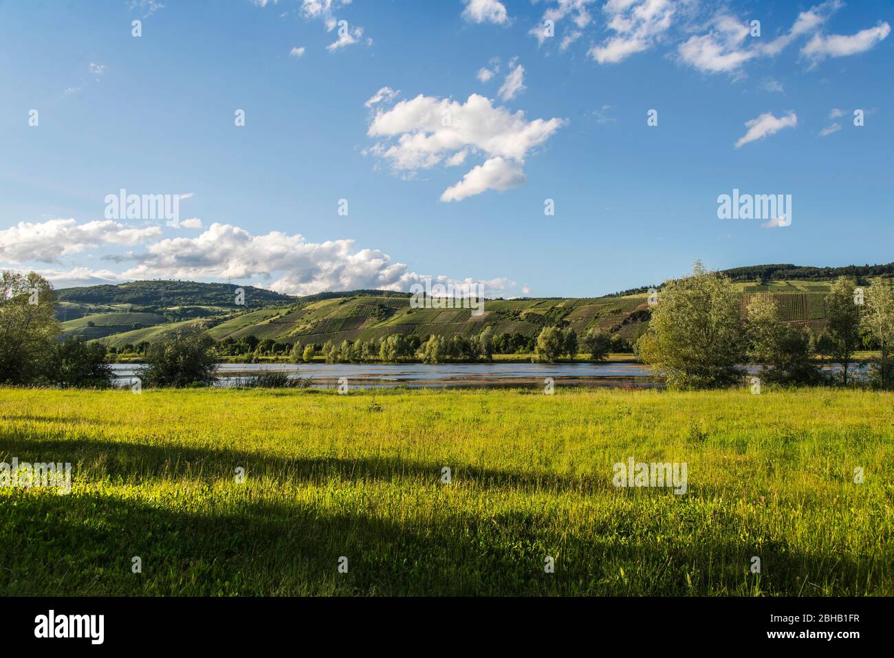 Paesaggio culturale con lago ricreativo Triolago e vigneti sul fiume Mosella a Riol, Germania Foto Stock