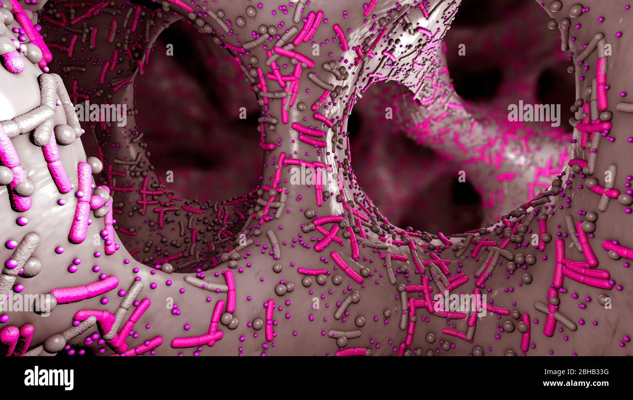 Microbiota dell'apparato digerente umano, illustrazione 3d. Foto Stock