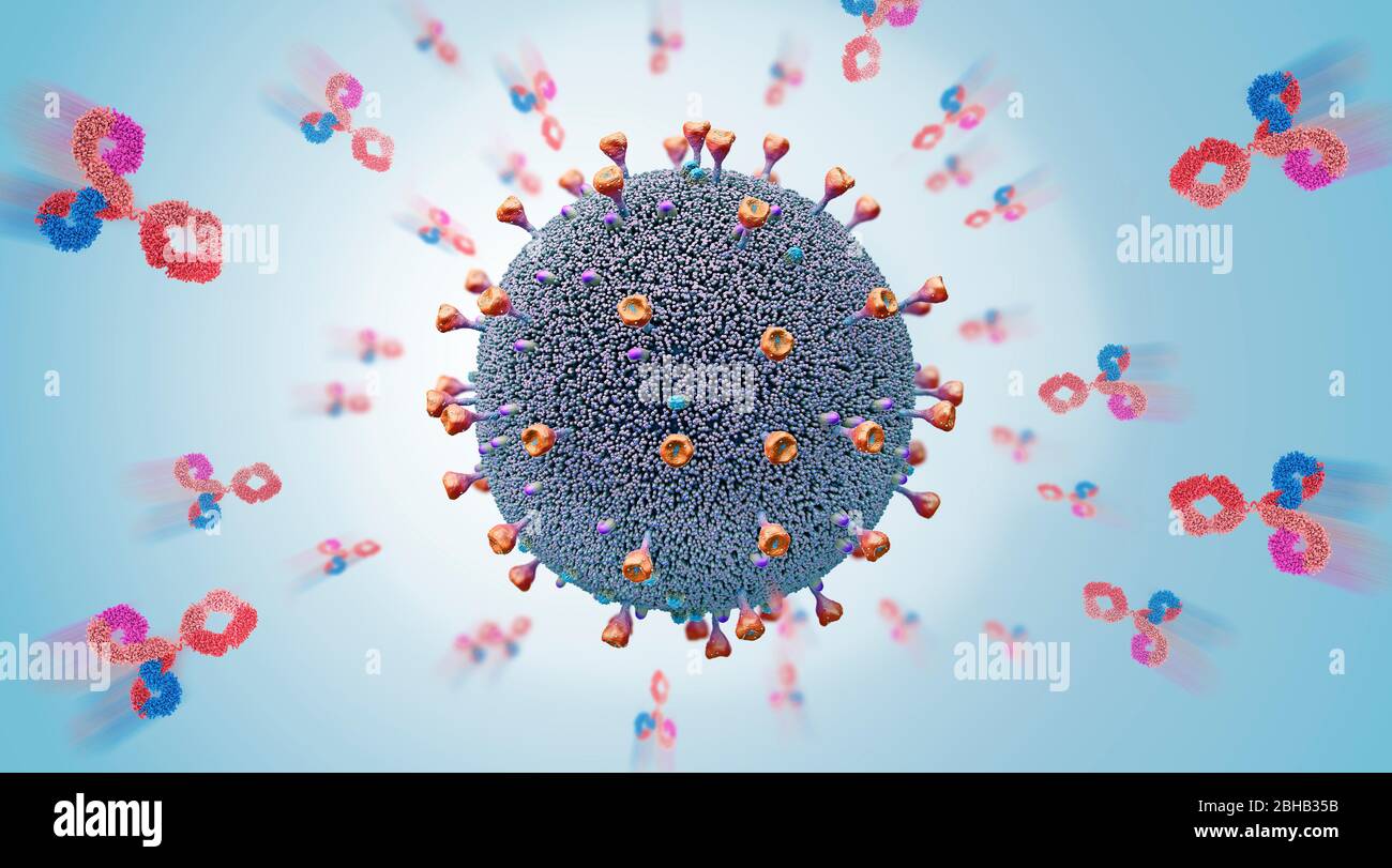Anticorpi che attaccano il virus, illustrazione 3d. Il sistema immunitario del corpo rilascia immunoglobuline, o anticorpi, per attaccare gli agenti patogeni. Foto Stock