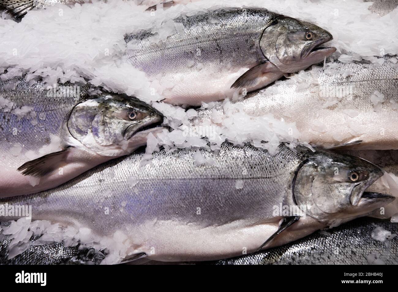 Mercato del pesce, Seattle, Washington, USA Foto Stock