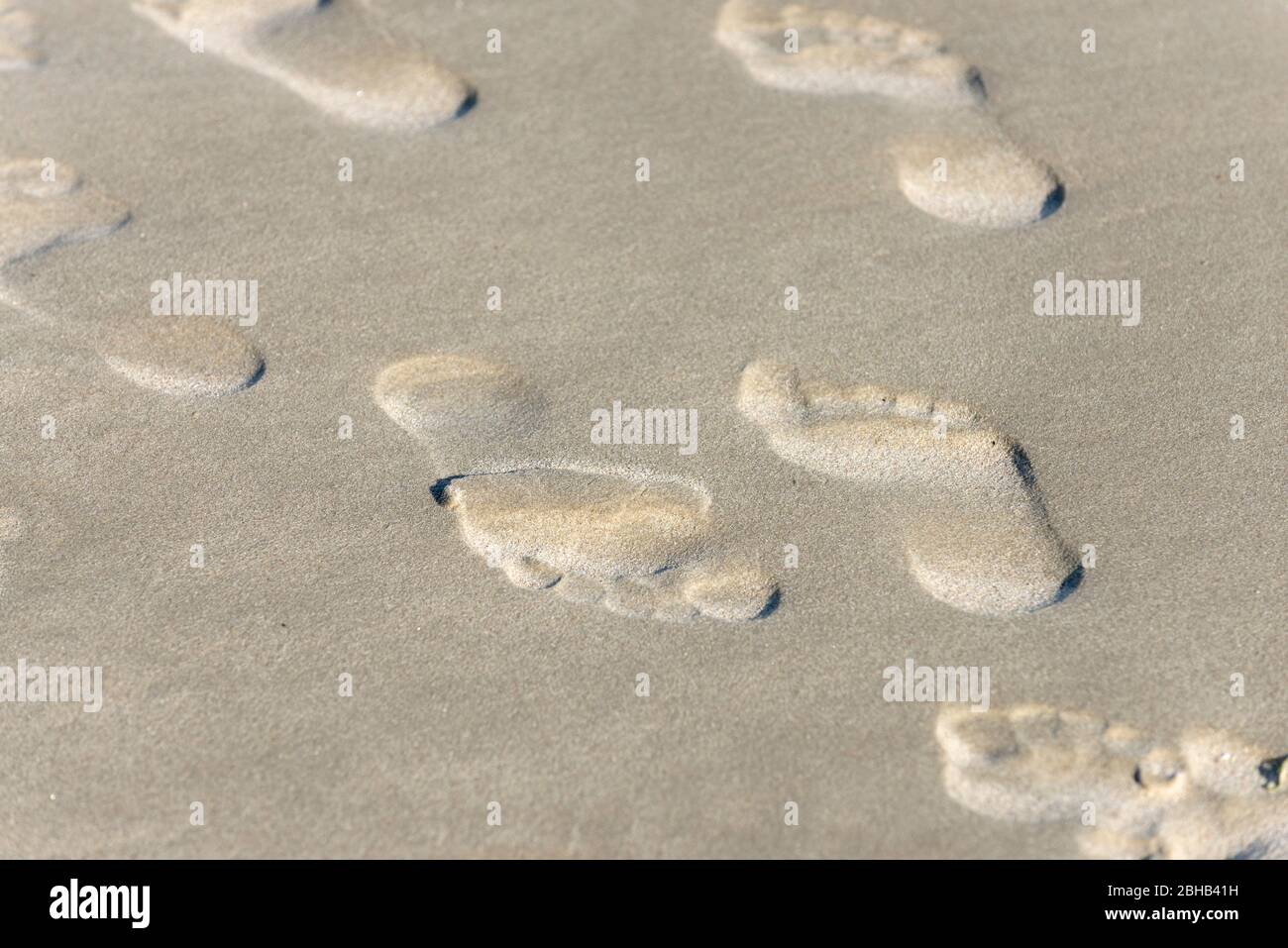 Germania, bassa Sassonia, Ostfriesland, Juist, impronte nella sabbia bagnata. Foto Stock