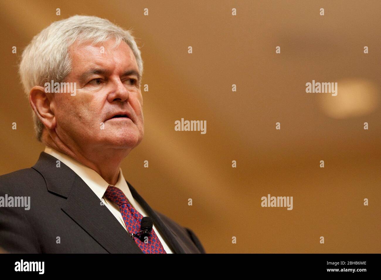 Austin Texas USA, aprile 15 2010: L'ex congressista conservatore e l'attuale commentatore politico Newt Gingrich parla con una folla del Texas Tea Party il 15th aprile (Tax Day), dicendo alla folla della sala da ballo dell'hotel che egli è in disaccordo con la maggior parte delle attuali politiche interne del presidente Barack Obama. ©Bob Daemmrich Foto Stock