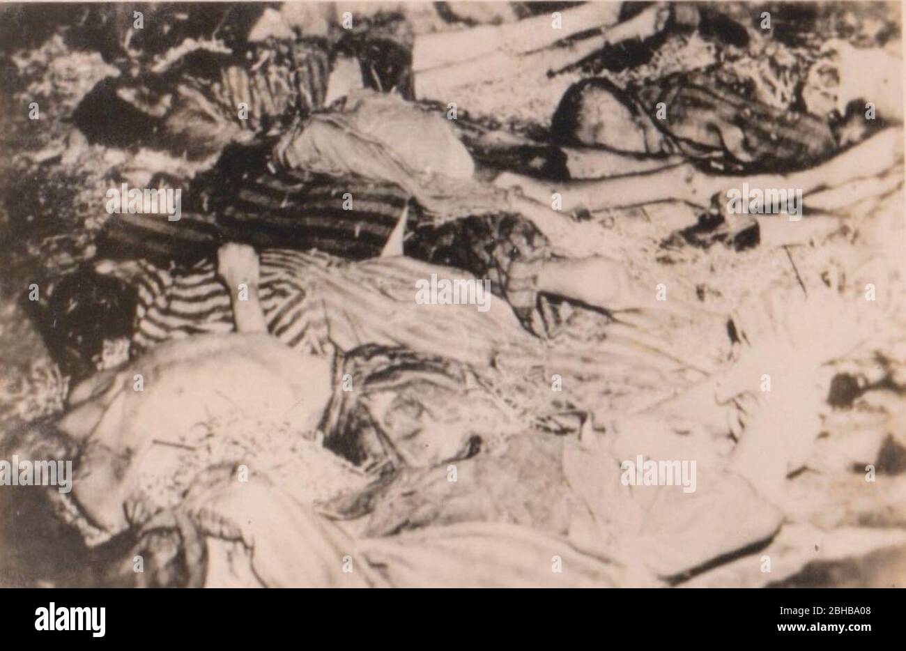 Vittime del campo di concentramento di Dachau Foto Stock