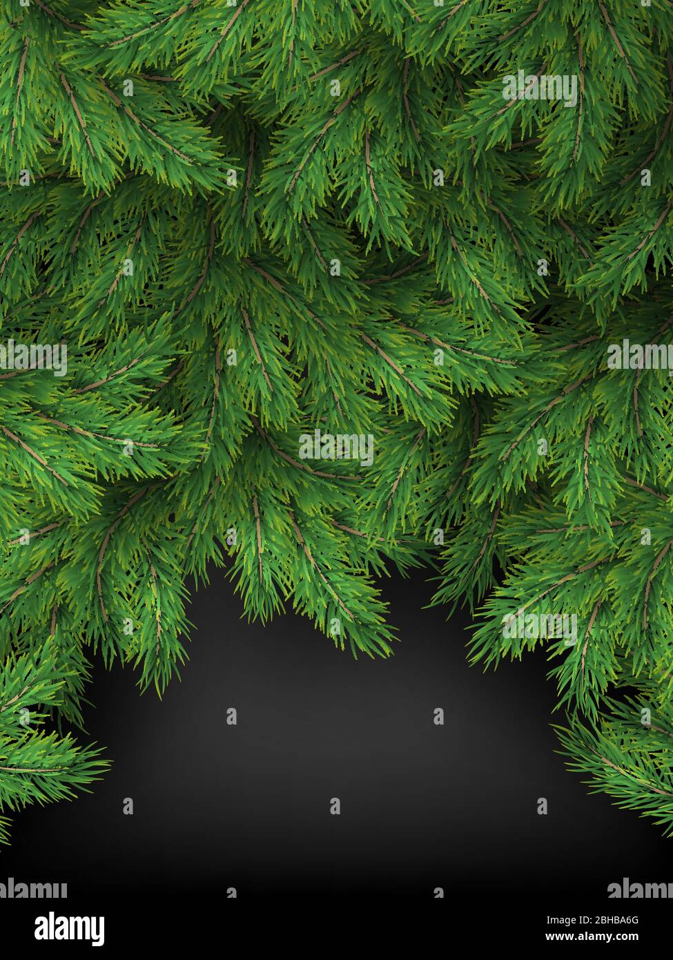 Natale e nuovo anno modello di rami realistici di albero di Natale su sfondo nero. EPS 10 Illustrazione Vettoriale