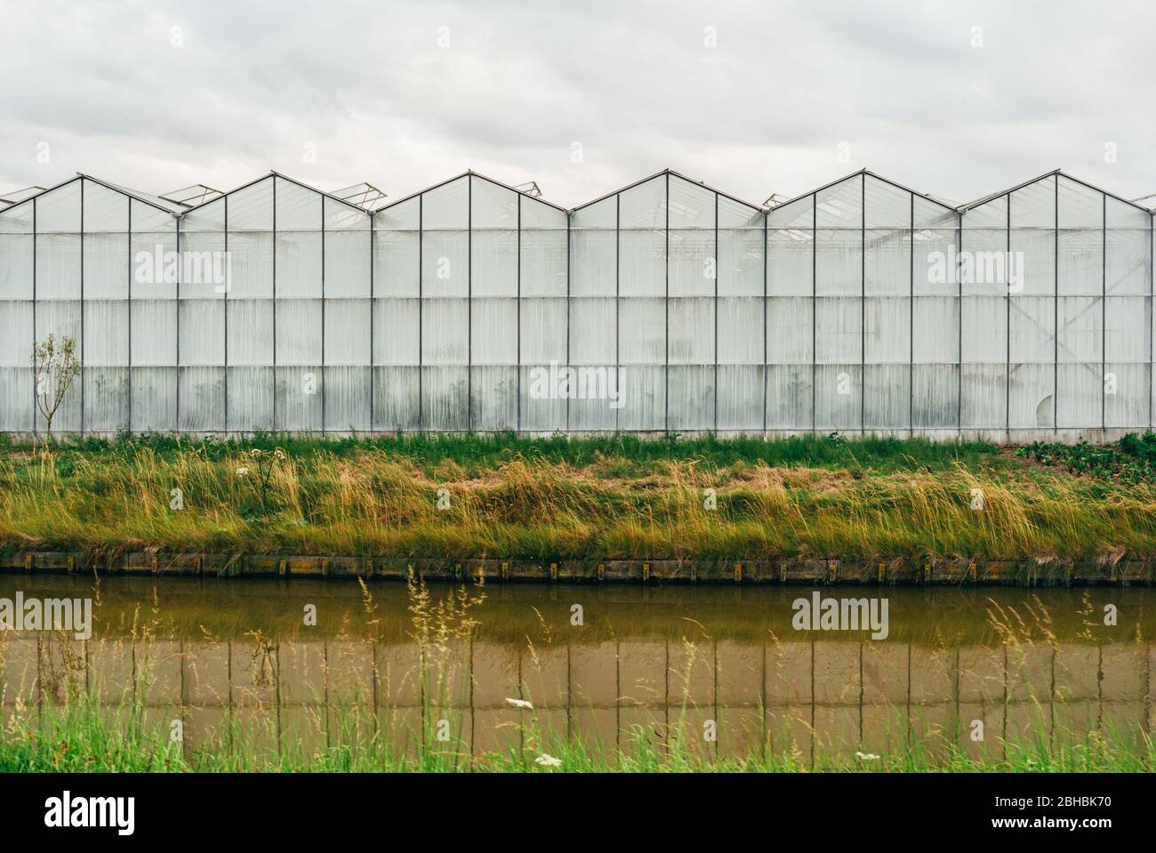 Vista frontale di una moderna serra nei Paesi Bassi Foto Stock