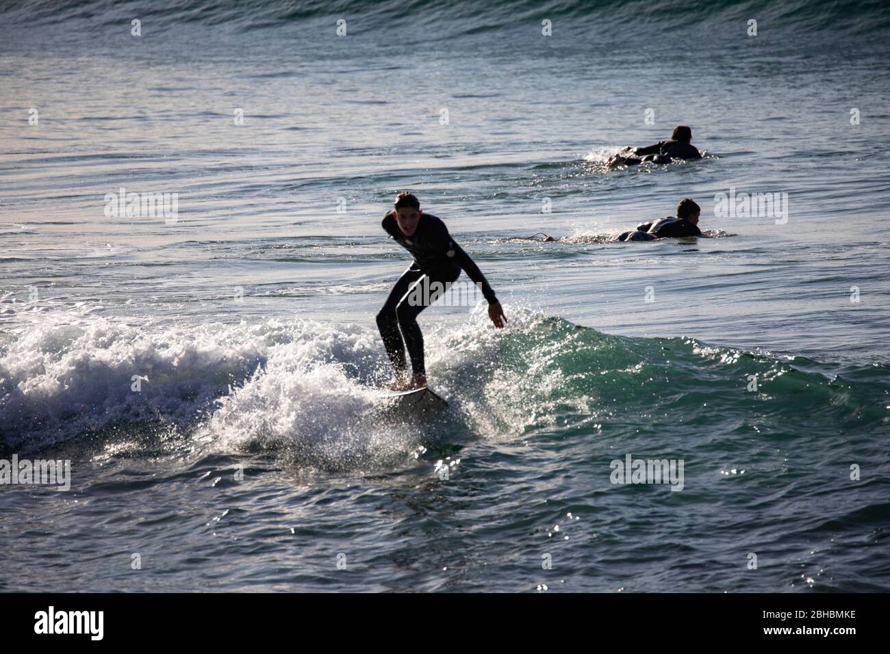 Uomo australiano maschile surf in una muta al largo della costa di Sydney, NSW, Australia Foto Stock