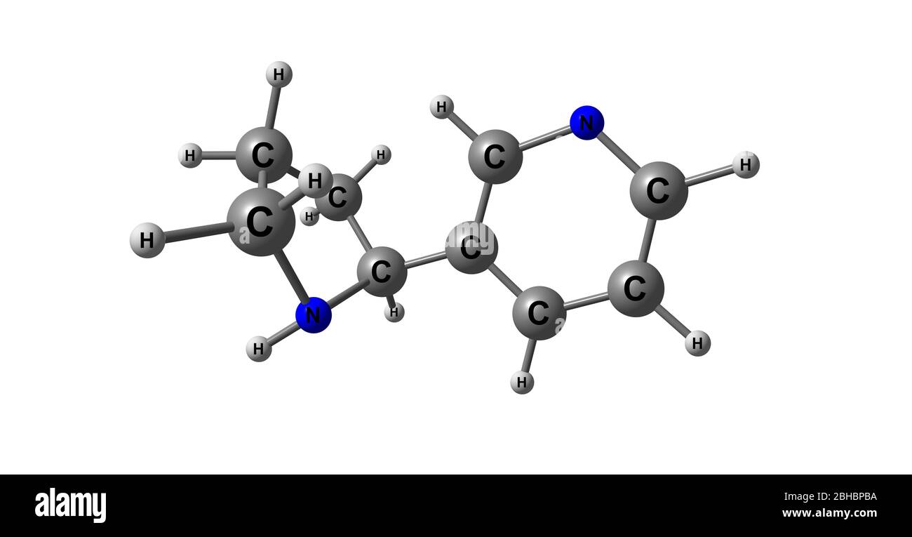 La narnicotina è un alcaloide che si trova in varie piante, tra cui Nicotiana, la pianta del tabacco. È chimicamente simile alla nicotina, ma non contiene Foto Stock