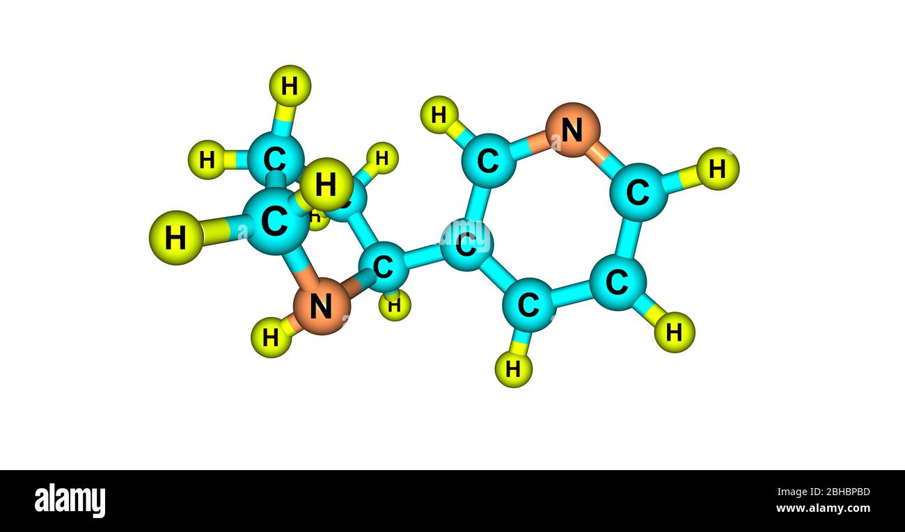 La narnicotina è un alcaloide che si trova in varie piante, tra cui Nicotiana, la pianta del tabacco. È chimicamente simile alla nicotina, ma non contiene Foto Stock