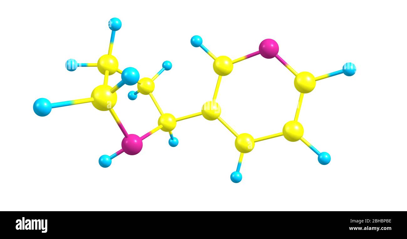 La narnicotina è un alcaloide che si trova in varie piante, tra cui Nicotiana, la pianta del tabacco. È chimicamente simile alla nicotina, ma non contiene Foto Stock