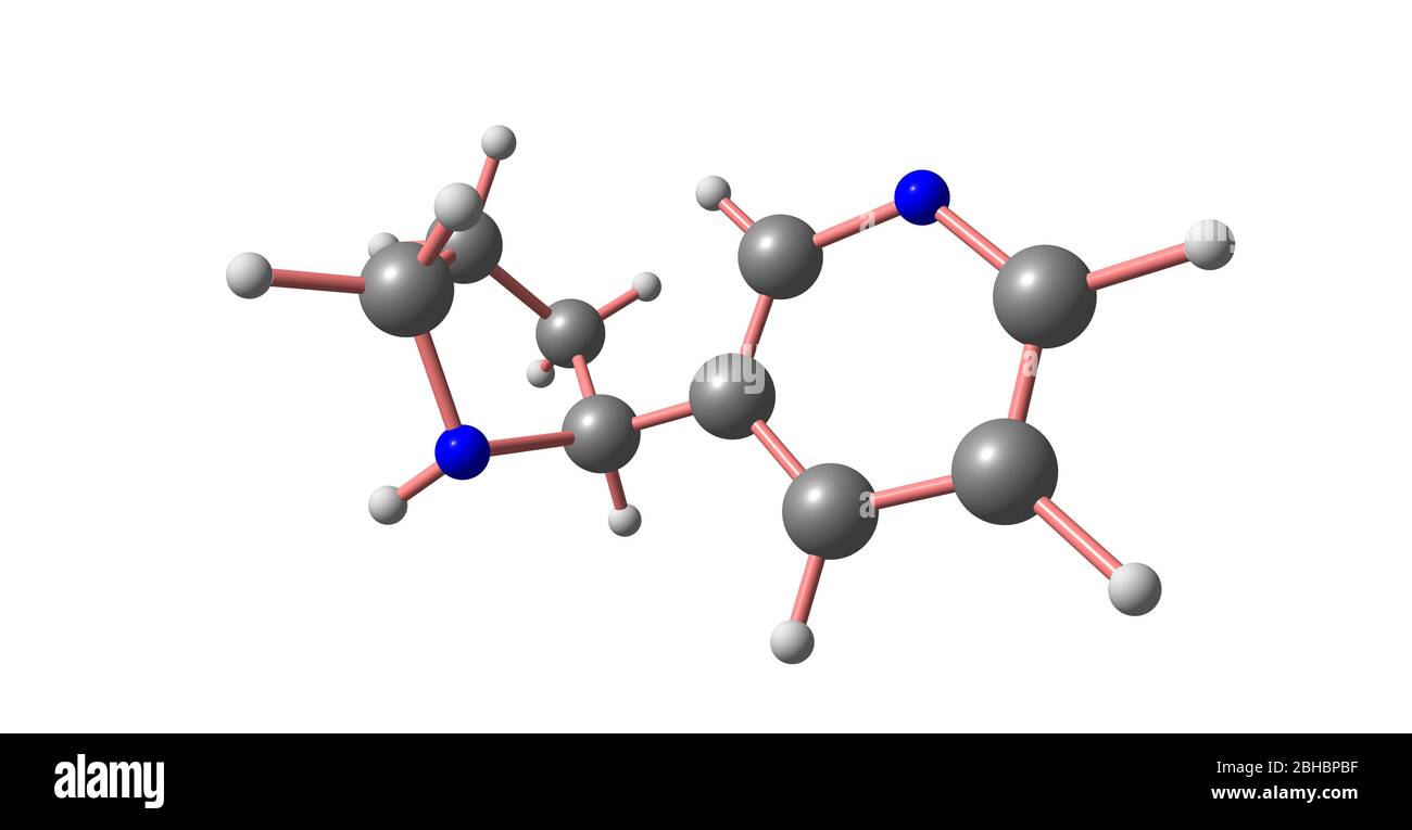 La narnicotina è un alcaloide che si trova in varie piante, tra cui Nicotiana, la pianta del tabacco. È chimicamente simile alla nicotina, ma non contiene Foto Stock