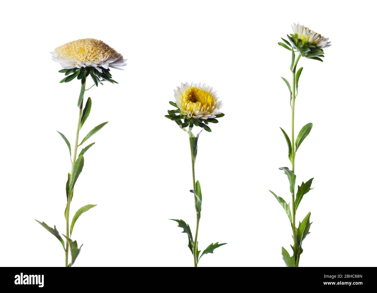 Set di tre bianche montagne russe isolate su sfondo bianco Foto Stock