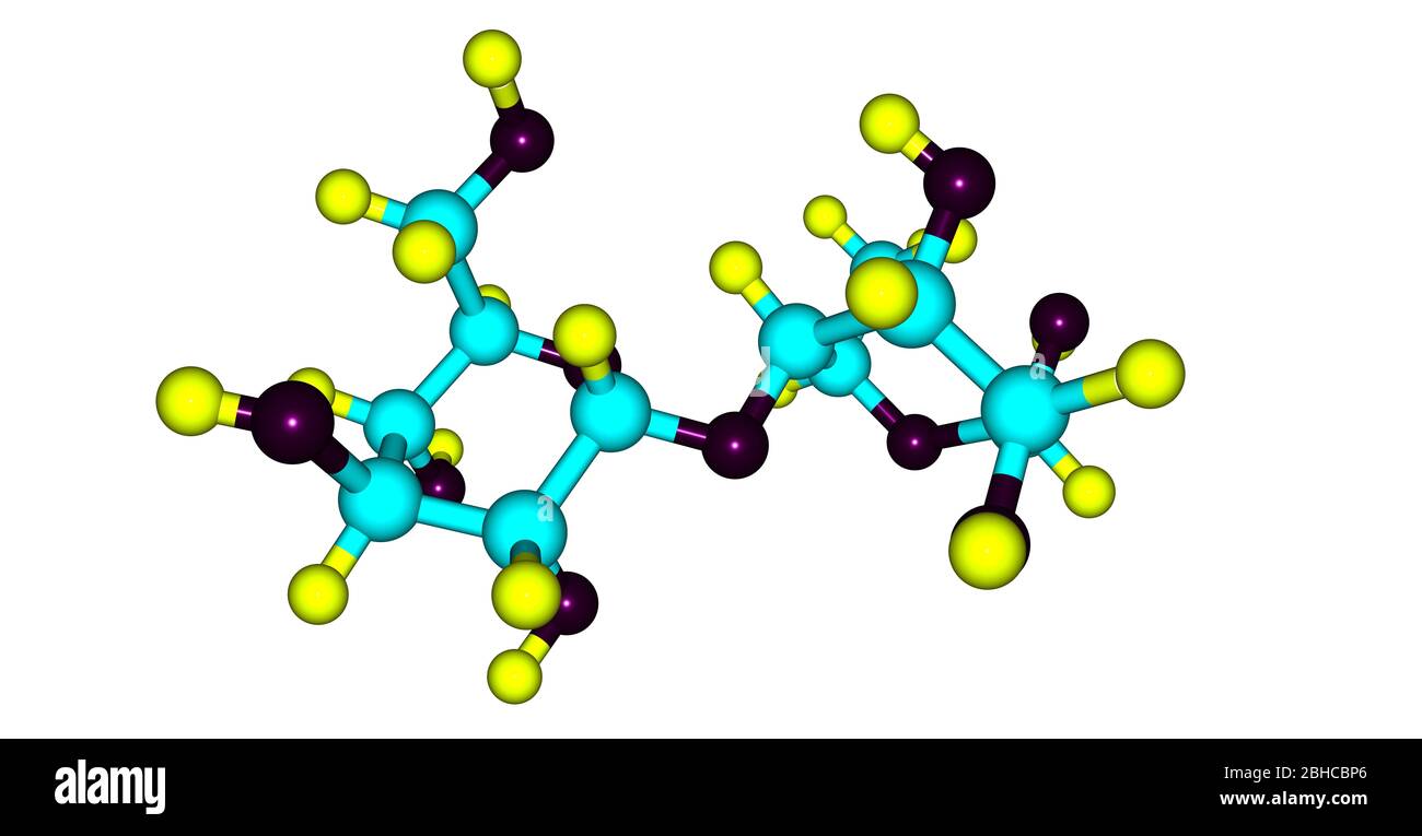 Il maltosio o il maltobiosio o lo zucchero di malto è un disaccaride formato da due unità di glucosio unite con un legame alfa. illustrazione 3d Foto Stock