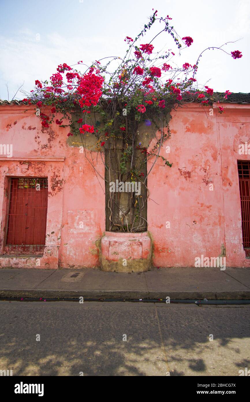 vista di una casa rosa nelle strade del pittoresco quartiere di getsemani a cartagena colombia Foto Stock