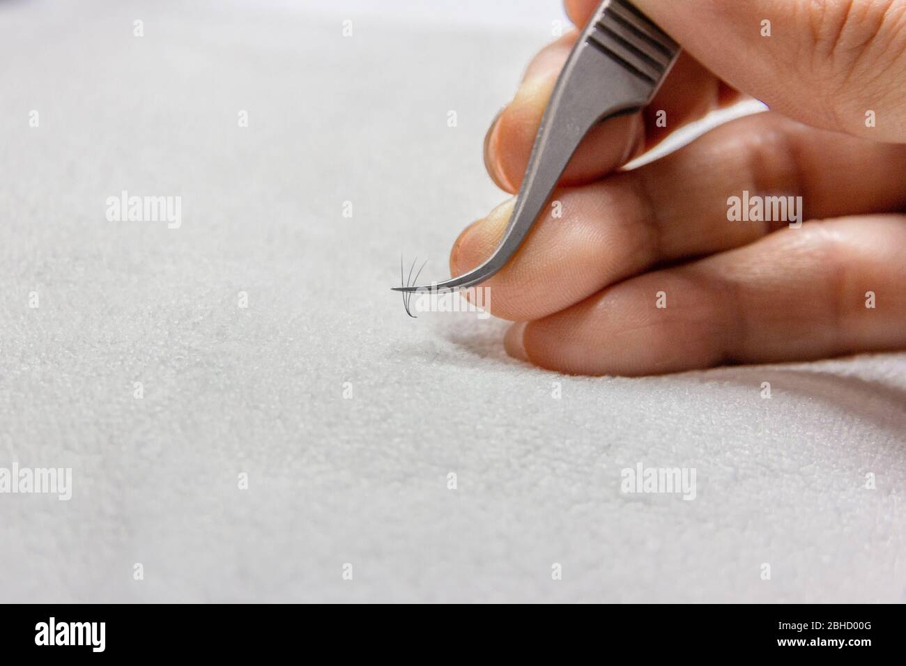 Pratica falso eyelashes procedura di estensione in salone di bellezza, lavoro con pinzette. Foto Stock