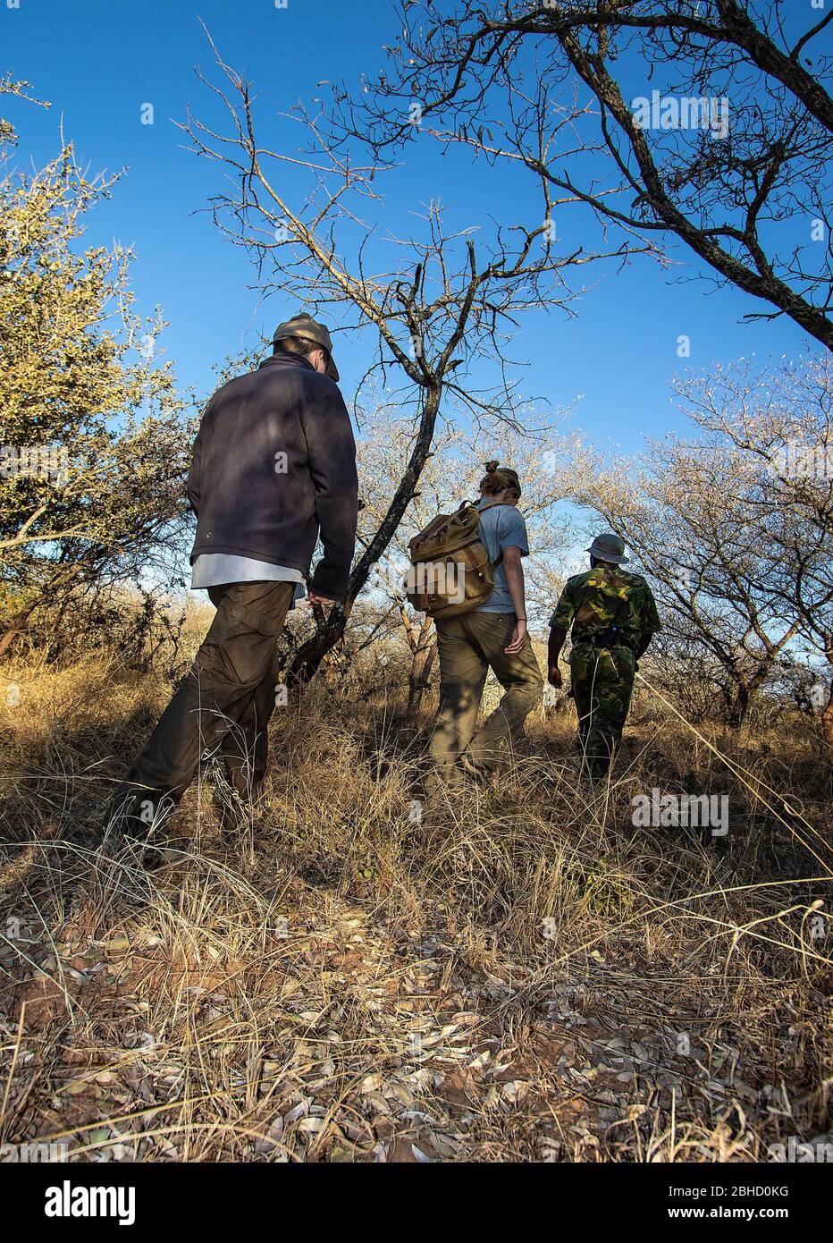 Volontari con pattugliamenti anti-poaching a Timbavati Game Reserve, Sudafrica Foto Stock