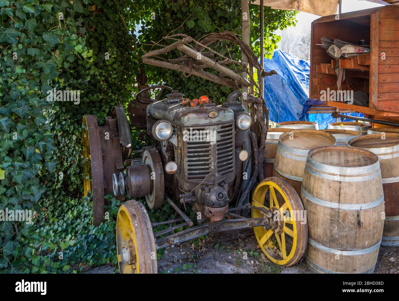 Vecchio trattore Landini L25 in un'azienda agricola in Alto Adige, Italia settentrionale - Europa - 7 gennaio 2019 Foto Stock