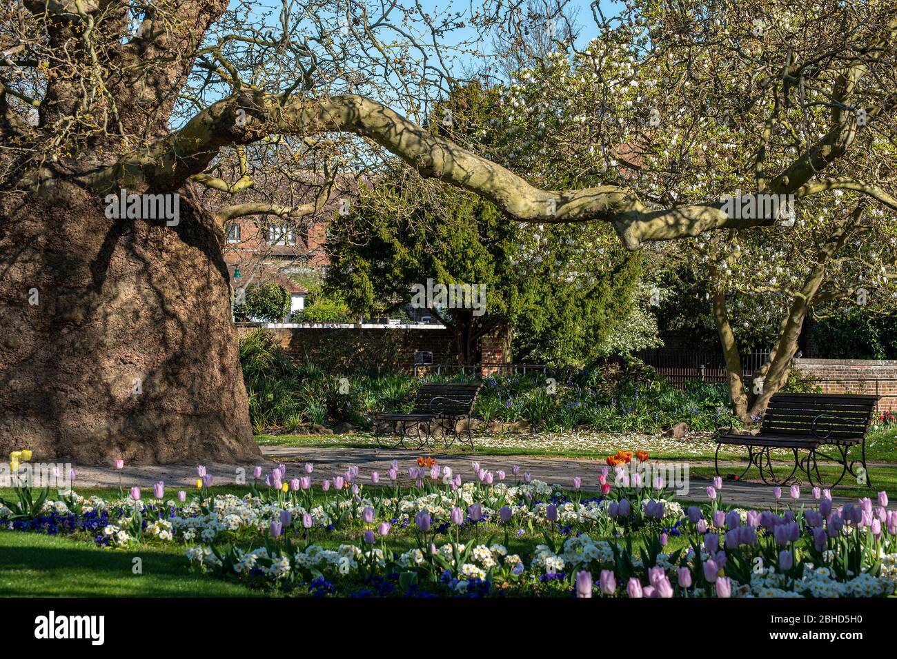 Westgate Gardens Canterbury Kent Regno Unito Foto Stock