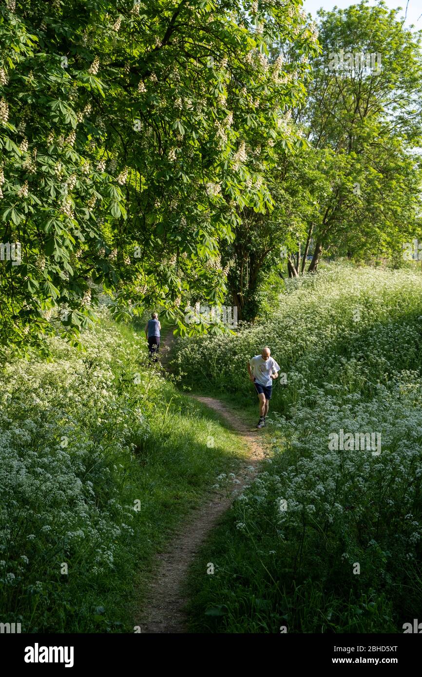 Ealing Common, Londra, Regno Unito Foto Stock