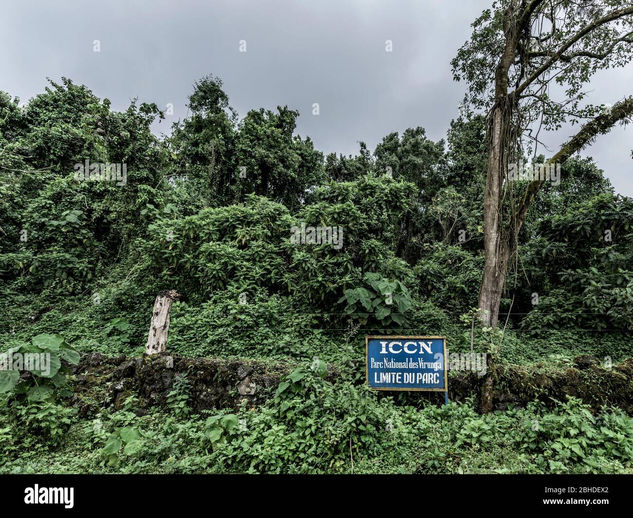 Limite del parco virunga a nord Kivu, DRC Foto Stock