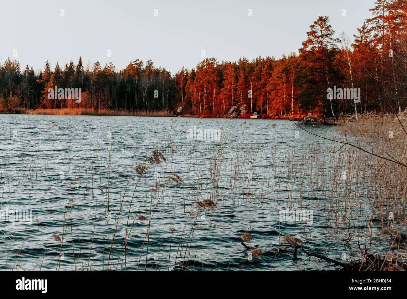 Vista su un lago in Svezia, Scandinavia, autunno Foto Stock