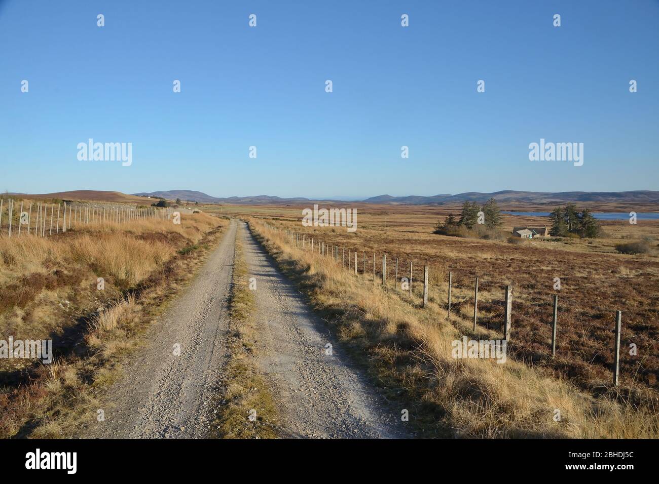 Un percorso di brughiera sulle colline sopra Rogart nella parte est della Sutherland nelle Highlands scozzesi settentrionali Foto Stock