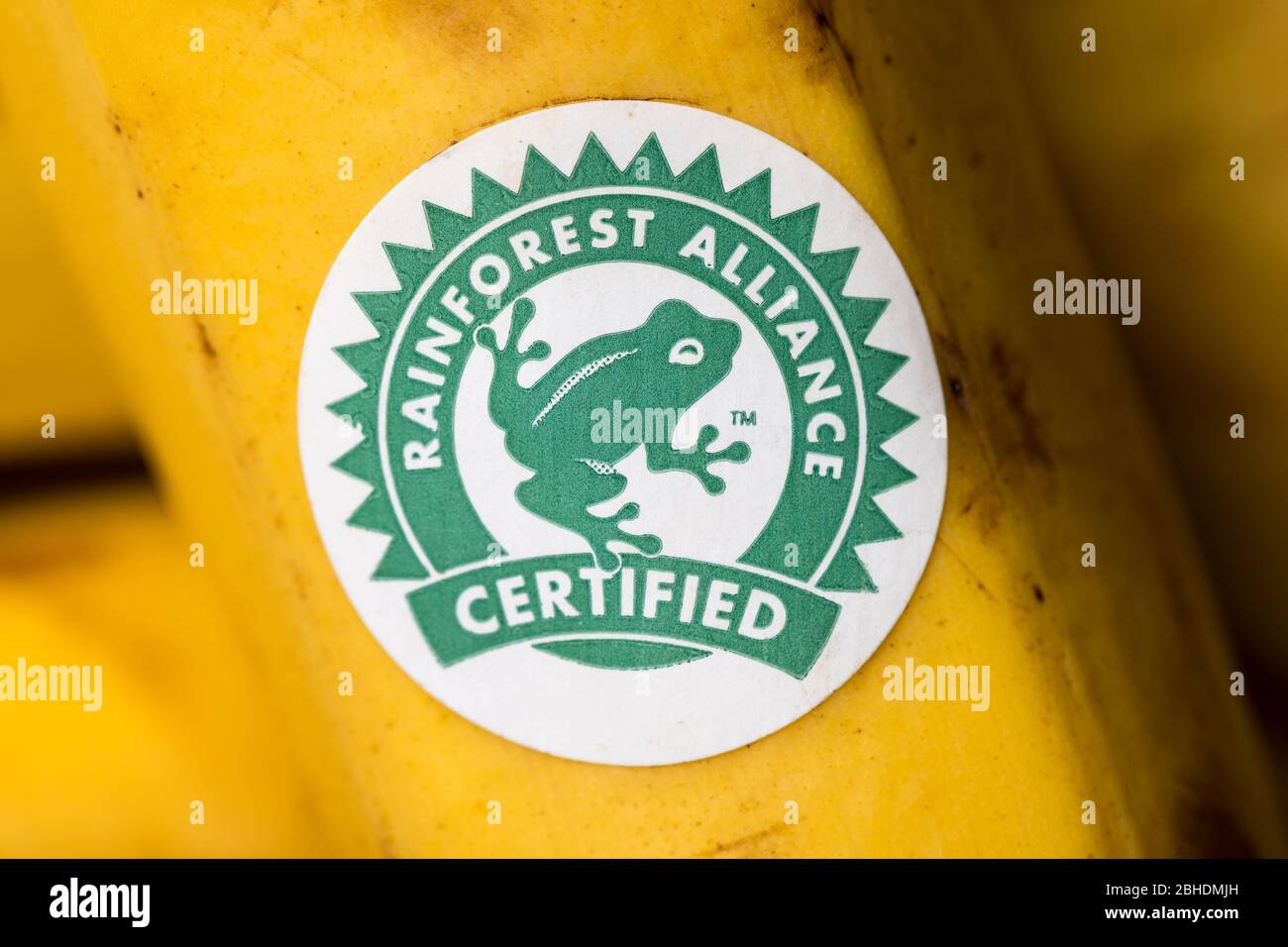 Logo Rainforest Alliance su una banana Foto Stock