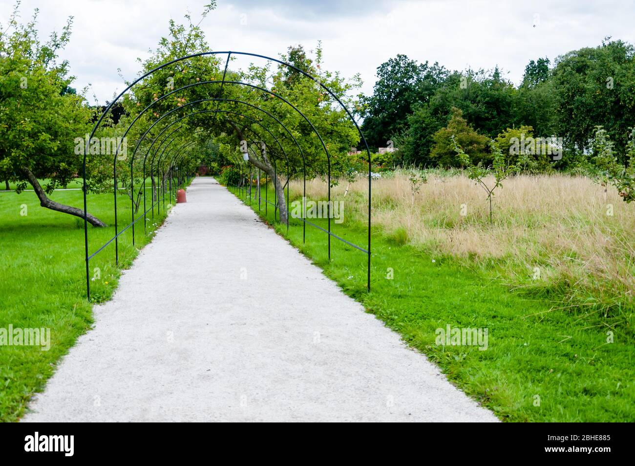 Giardino, Fulham Palace, Londra, Inghilterra, Regno Unito Foto Stock