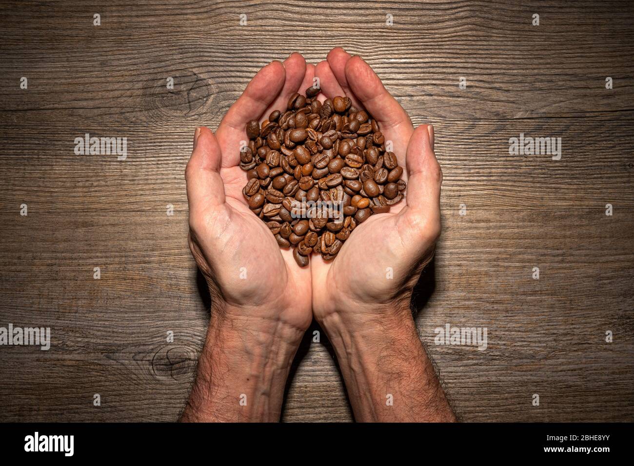 mani in mano con chicchi di caffè appena tostati Foto Stock
