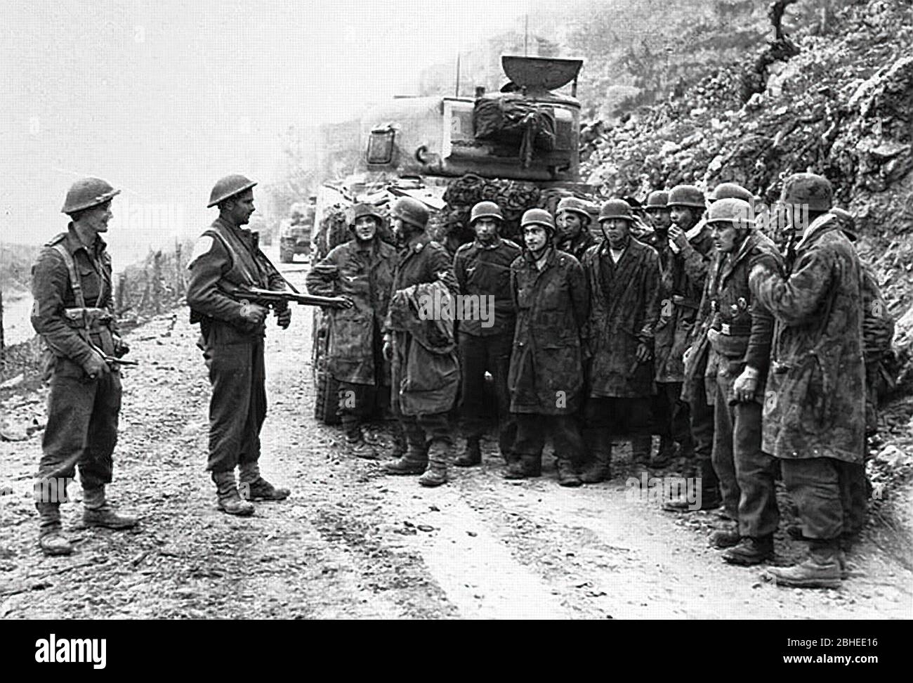 Foto Del Giorno: Il D-Day Per I Paracadutisti A 4 Zampe - Foto 4