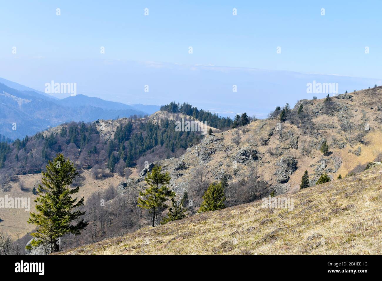 Paesaggi di montagna Belchen all'inizio della primavera. Foto Stock