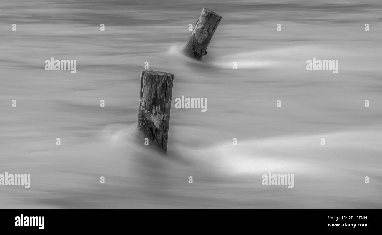 L'acqua veloce trasporta gli alberi Foto Stock