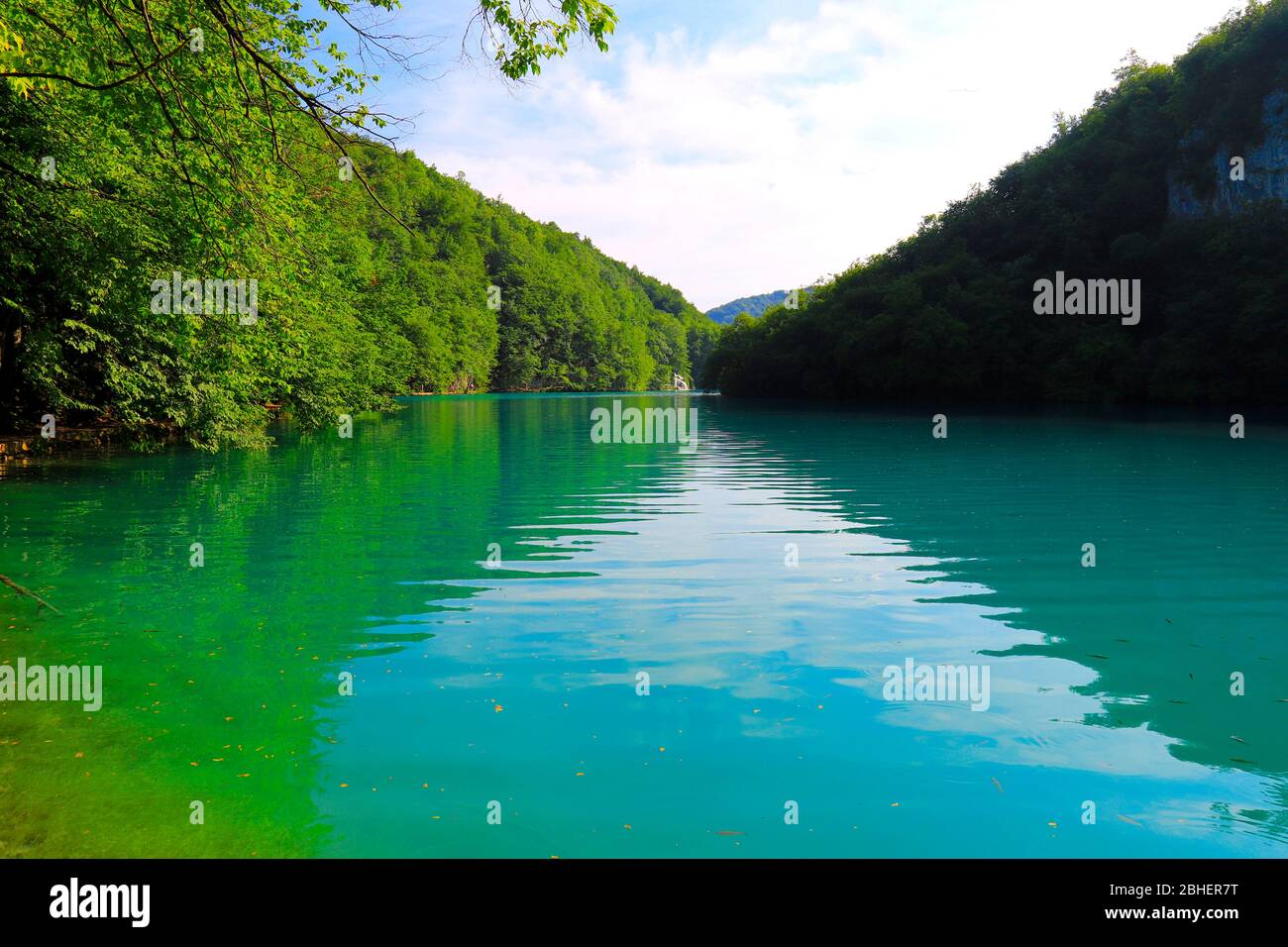 Bellissimo e pittoresco lago Plitvice nel Parco Nazionale Croato. Acqua verde pulita nel piccolo fiume di montagna. Sfondo naturale di acqua nel lago Foto Stock