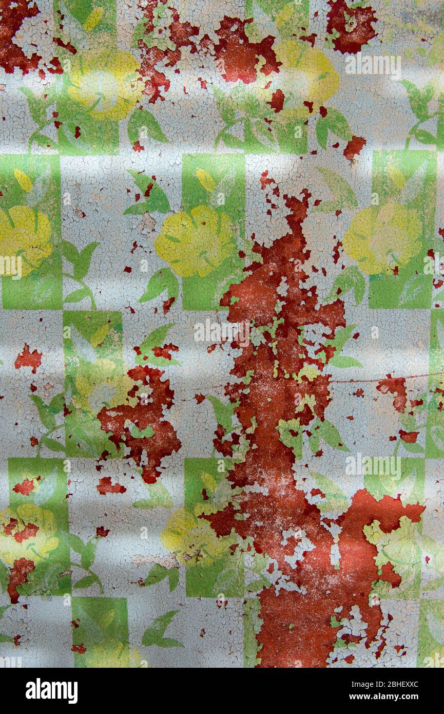 Dettaglio muro in un edificio nel abbandonato (1954) insediamento minerario tedesco di diamanti di Kolmanskop vicino a Luderitz, Namibia. Foto Stock